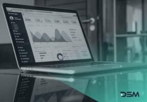 DSM Digital School of Marketing - web analytics
