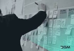 DSM Digital School of Marketing - Project Management