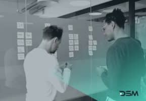 DSM Digital School of Marketing - Project Timeline