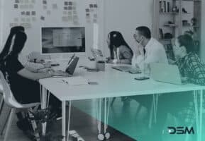 DSM Digital School of Marketing - Project Management