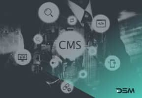 DSM Digital School of Marketing - CMS
