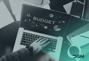 DSM Digital School of Marketing - marketing budget