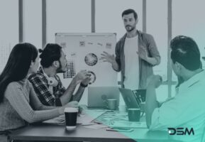 DSM Digital School of Marketing - brand management plan