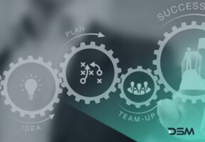 DSM digital School of Marketing - project