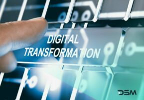 DSM Digital School of Marketing - Skills