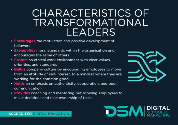 DSM Digital School of Marketing - Characteristics Of Disruptive Innovation Icon