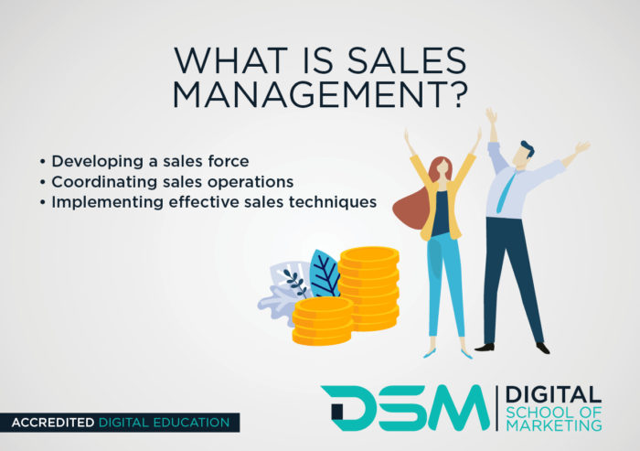 DSM Digital School of Marketing - sales management