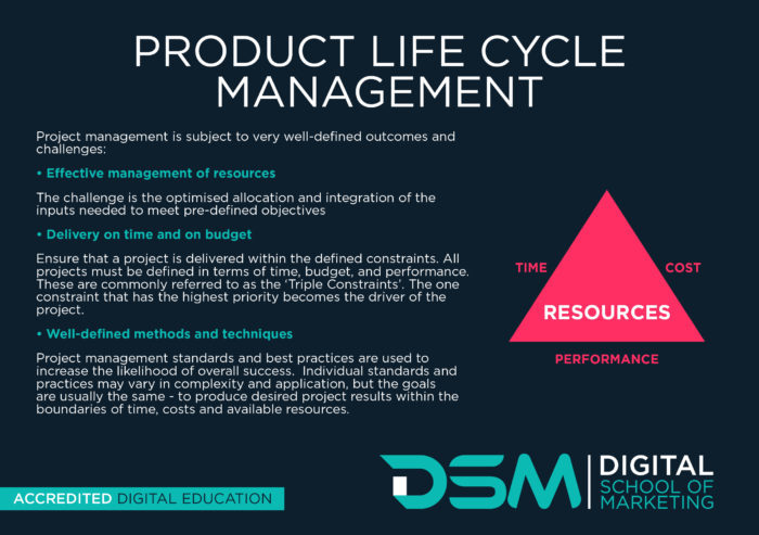 DSM Digital School of Marketing - product life cycle management
