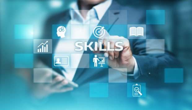 DSM Digital School of Marketing - skills development