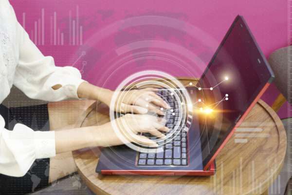 DSM Website developer